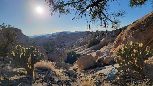 The Healing Benefits of Nature Retreats: How Spending Time Outdoors Can Transform Your Wellbeing