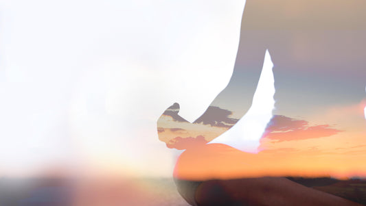 Your Tailor-Made Retreat at Camp Vortex – Heal, Rest, Reconnect