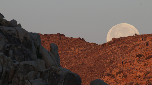 5-Day Joshua Tree Desert Self-Transformation Retreat