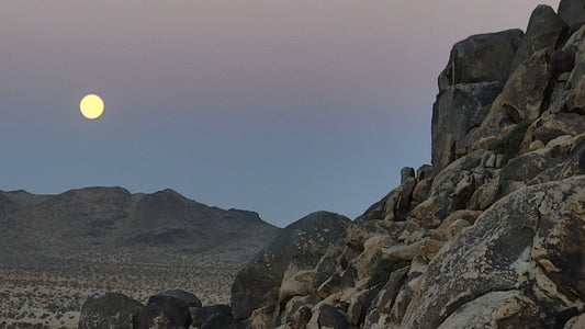 Harnessing the Power of the Full Moon at Our Wellness Retreat in Joshua Tree