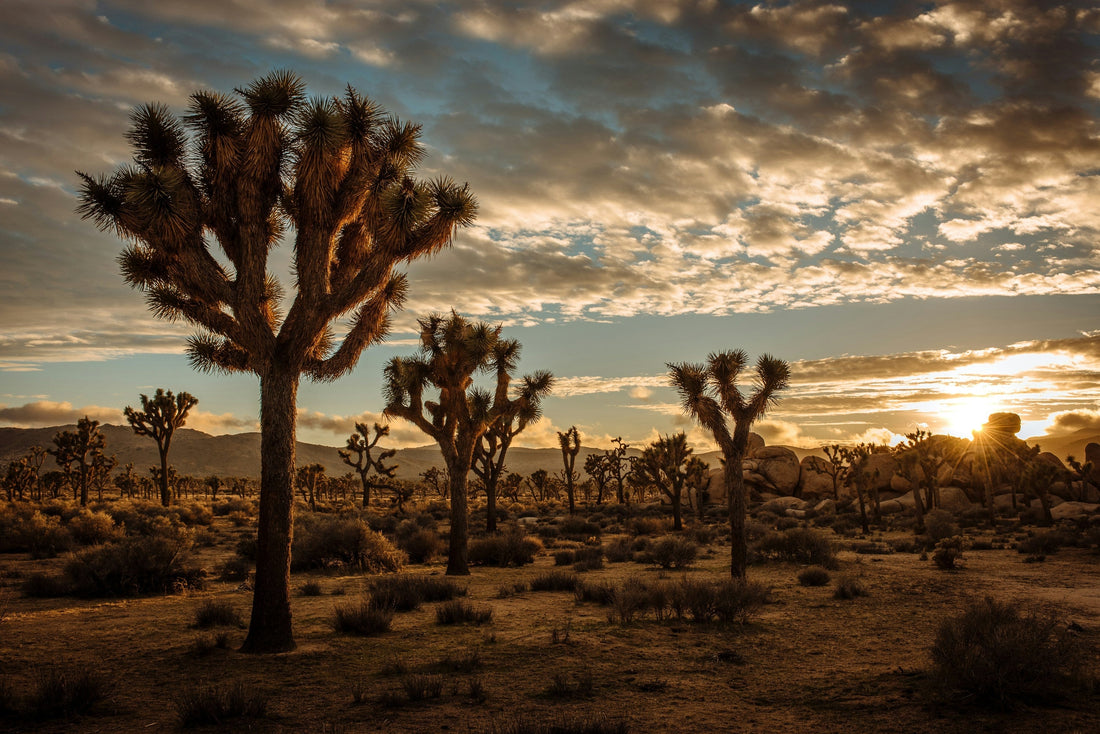 Your Southern California Wellness Getaway