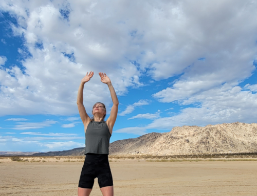 Private Wellness Retreat California – Transformational Healing in Joshua Tree with Camp Vortex Retreats