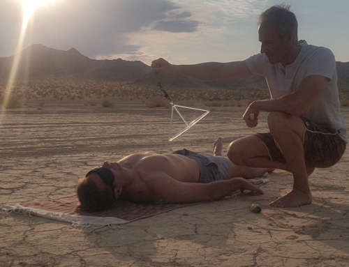 Longevity Retreat Joshua Tree – Detox, Heal & Rejuvenate in the Desert