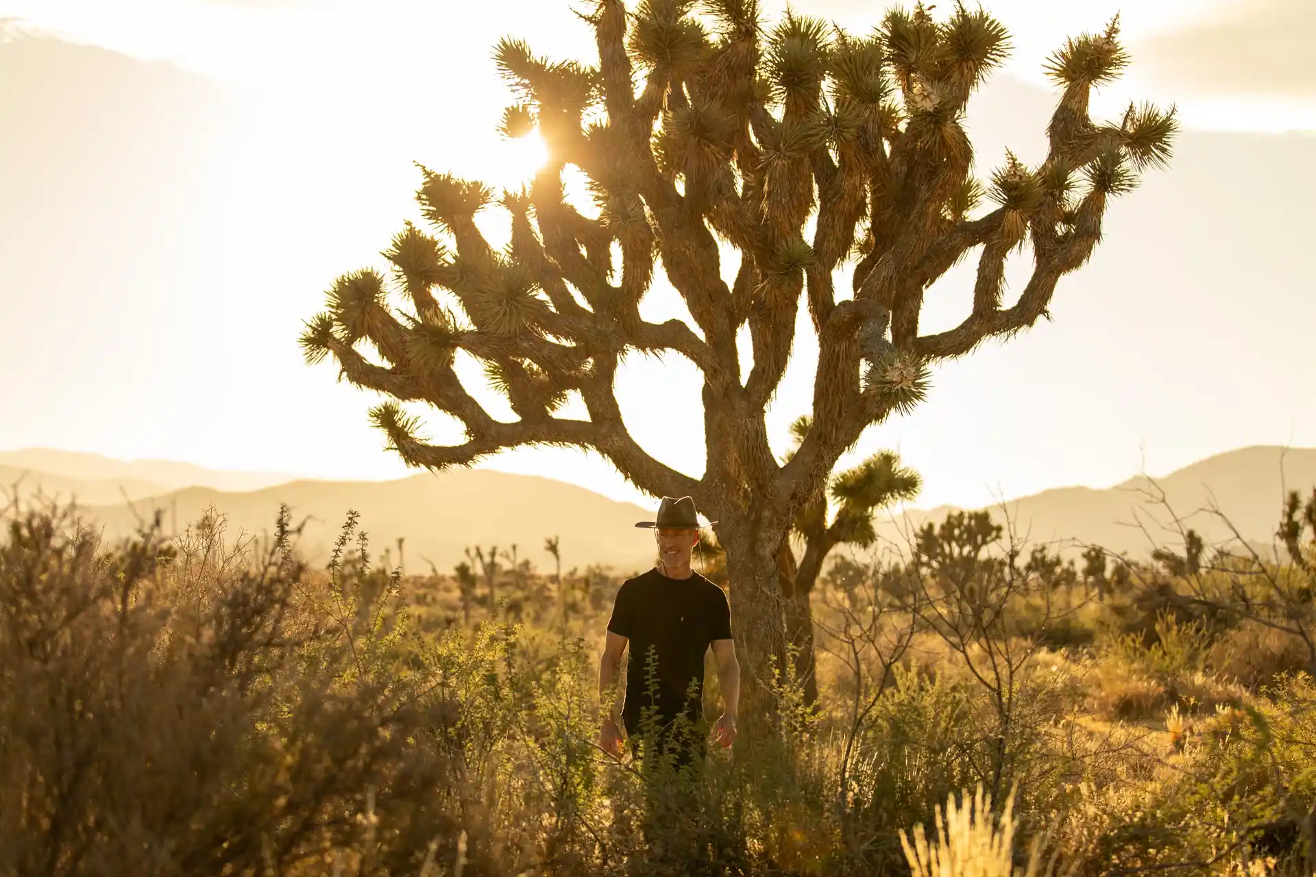 Man standing beneath a Joshua tree at sunset in the California desert near Camp Vortex Retreats.
