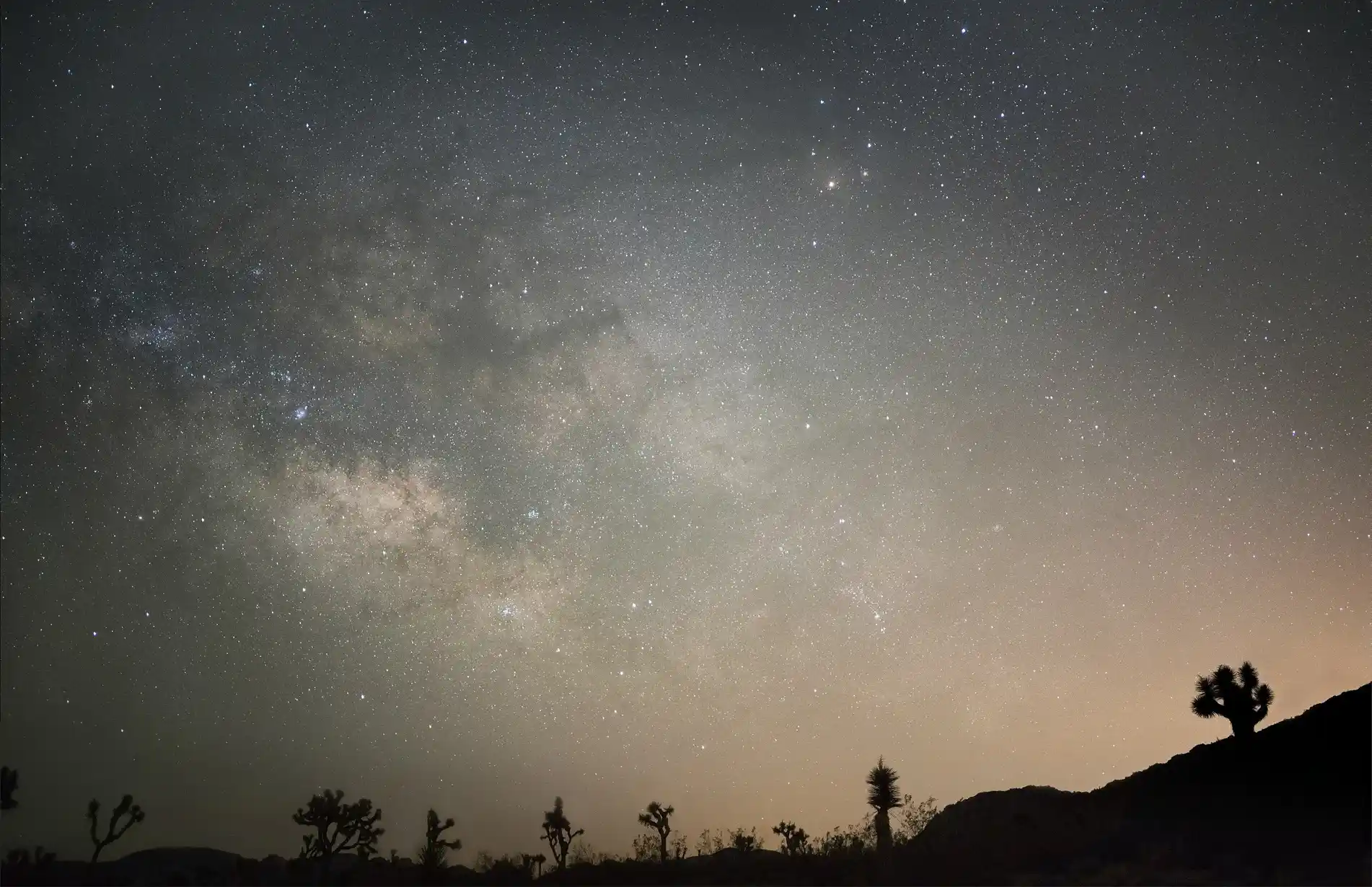 Star-filled night sky and Milky Way above Joshua trees and desert mountains in Joshua Tree, California.